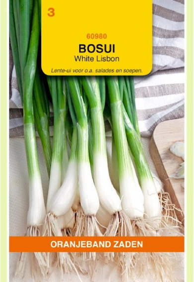 Bosui White Lisbon (Allium cepa) 1000 zaden OBZ
